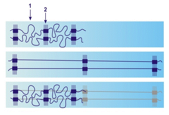 2.gif 2.gif