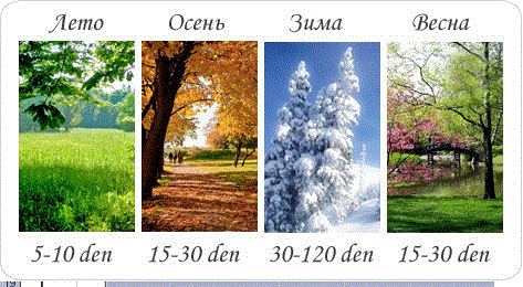 10.gif 10.gif